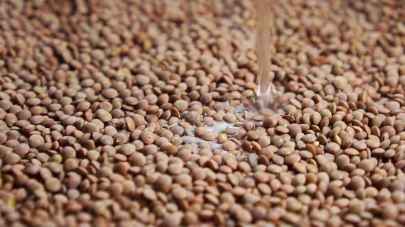 Pouring water into a bowl with dry lentils in slow motion. Cooking raw legumes