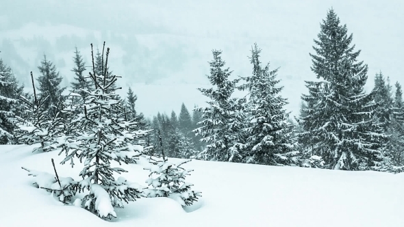 Beautiful Winter Landscape With Snow Covered Trees