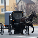 Horse Carriage Passing By
