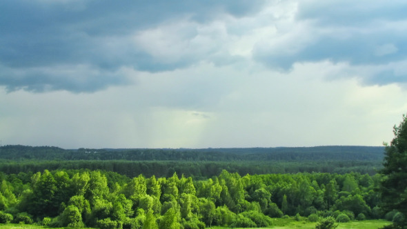 Rain Over The Forest