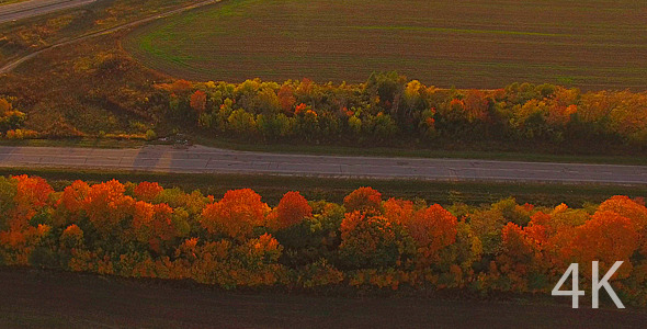 Automobile Road and Beautiful Nature