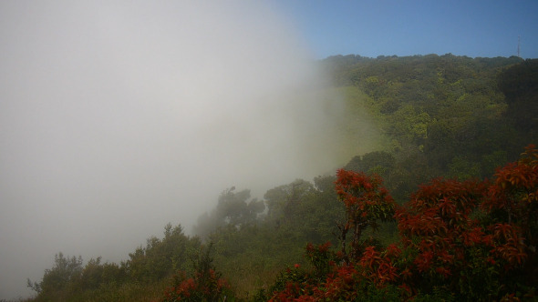 Mist On Mountain