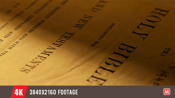 Old Holy Bible 7 alt