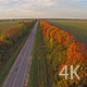 Automobile Road and Beautiful Autumn Nature - VideoHive Item for Sale