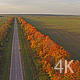 Automobile Road and Beautiful Autumn Nature - VideoHive Item for Sale