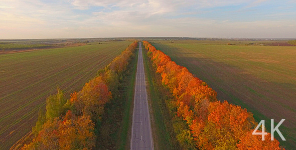 Automobile Road and Beautiful Autumn Nature