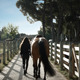 Walking Horse Down Pathway - VideoHive Item for Sale