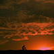 Cyclist on the Horizon - VideoHive Item for Sale
