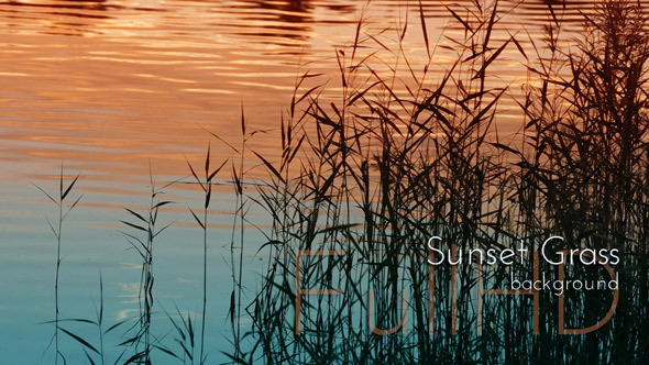 Sunset Water and Grass Silhouettes