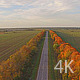 Beautiful autumn and automobile highway - VideoHive Item for Sale
