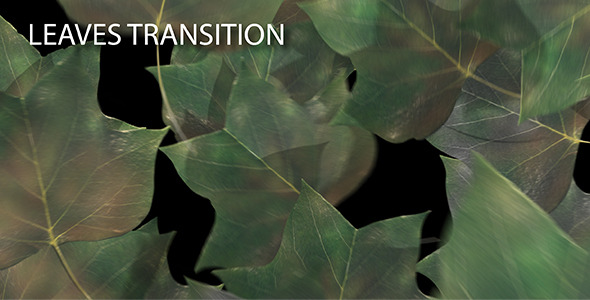 Leaves Transition