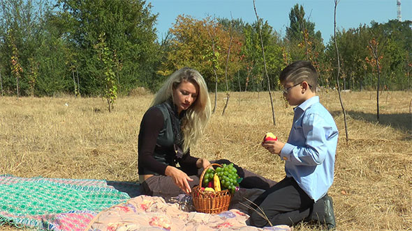 Mother and Son at a Picnic