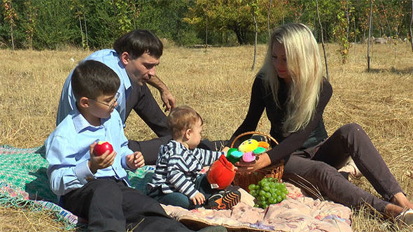 The Family Picnic in the Park