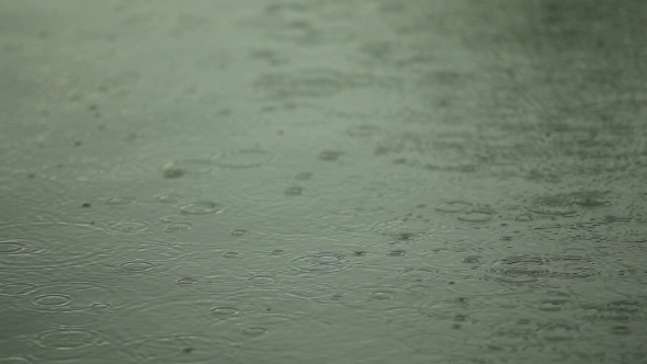 Water Surface With Raindrops alt