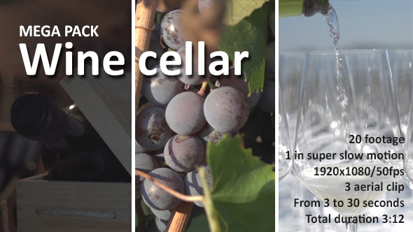 Wine Cellar Mega Pack