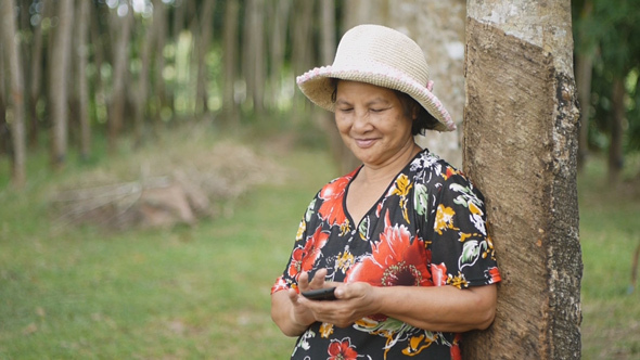 Old Thai Woman Using Smartphone