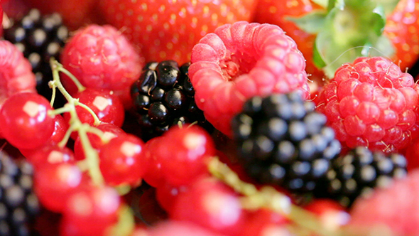 Strawberry, Currant, Blackberry