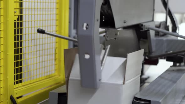 Automatic Closing of the Cardboard Box on the Conveyor Belt