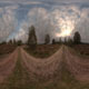 Field Path - 3DOcean Item for Sale