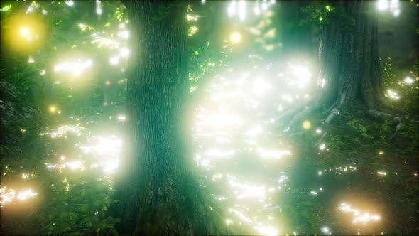 Firefly Flying in the Forest