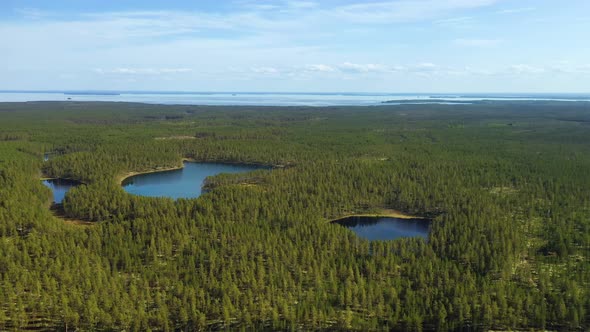 Lake and Forest in Finland