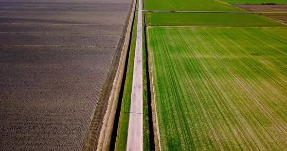 Long Road Stretches Among Green Fields Past Canals in Spring