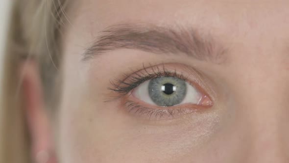 Eye of Young Woman on White Background