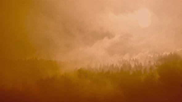 Beautiful Misty Foggy Landscape with Dark Forest on Mountain Among Low Clouds