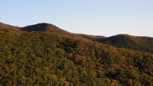 Green Yellow Red Crowns of Trees in Deciduous Forest in Autumn in October