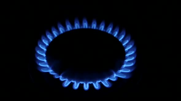 Blue Natural Gas Flames. Slow Motion