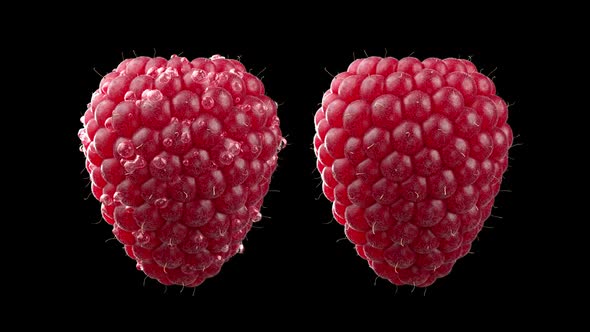 Red Raspberry Rotating  A In Full HD