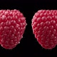 Red Raspberry Rotating  A In Full HD - VideoHive Item for Sale