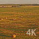 Beautiful Field of Green Grass, Agriculture - VideoHive Item for Sale