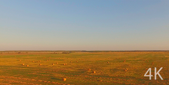 Beautiful Field of Green Grass, Agriculture