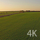 Beautiful Field of Grass and Road, Agriculture - VideoHive Item for Sale