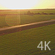 Beautiful Field of Grass and Road with a Car - VideoHive Item for Sale