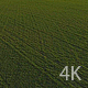 Beautiful Field of Green Grass, Agriculture - VideoHive Item for Sale