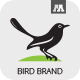 Bird Brand Logo - GraphicRiver Item for Sale