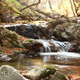 Autumn Forest River - VideoHive Item for Sale