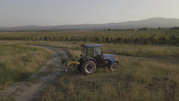 Aerial view farmer on tractor mowing weeds between rows of grapevines in vineyard landscape