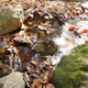Autumn Forest Stream - VideoHive Item for Sale