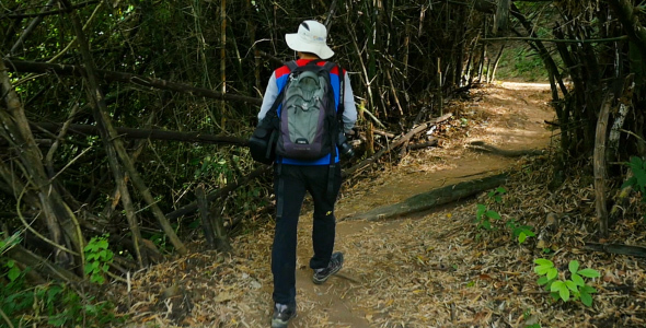 Asian Man Walking On a Hike Trail In a Forest