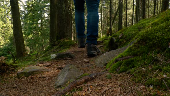 Tourist Guy with a Backpack Walks Along a Trail in a Beautiful Forest