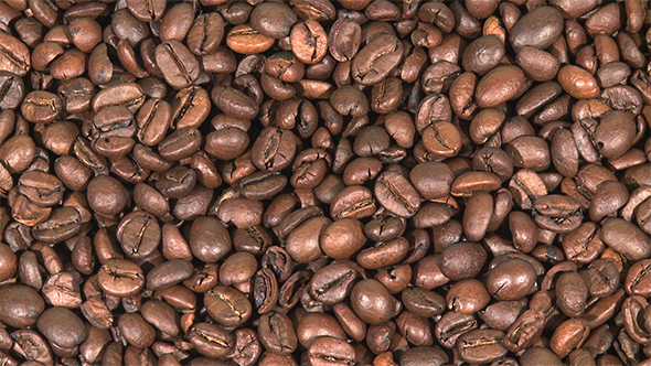 Roasted Coffee Beans