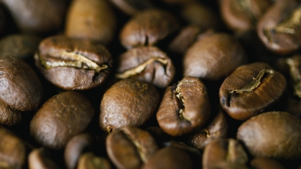 Coffee Beans Nicaragua Maragogype