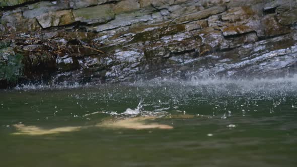 The Girl Dives in Shallow Water