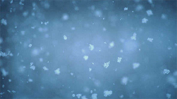 Snowflakes in Front of a Blurred Background 