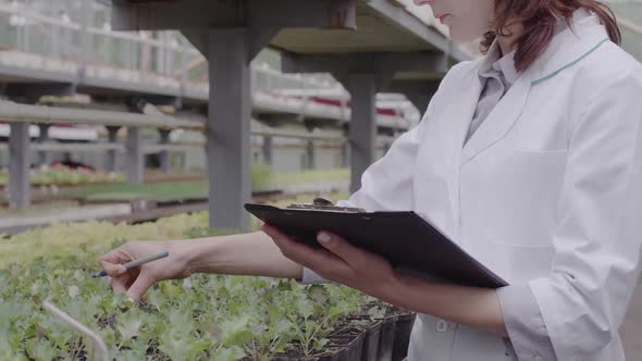 Unrecognizable Biologist in Medical Robe Examining Plants in Greenhouse. Caucasian Serious Woman