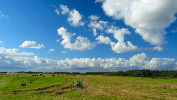 Landscape With Agricultural Work