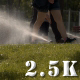 Summer Sprinklers and People 2 - VideoHive Item for Sale